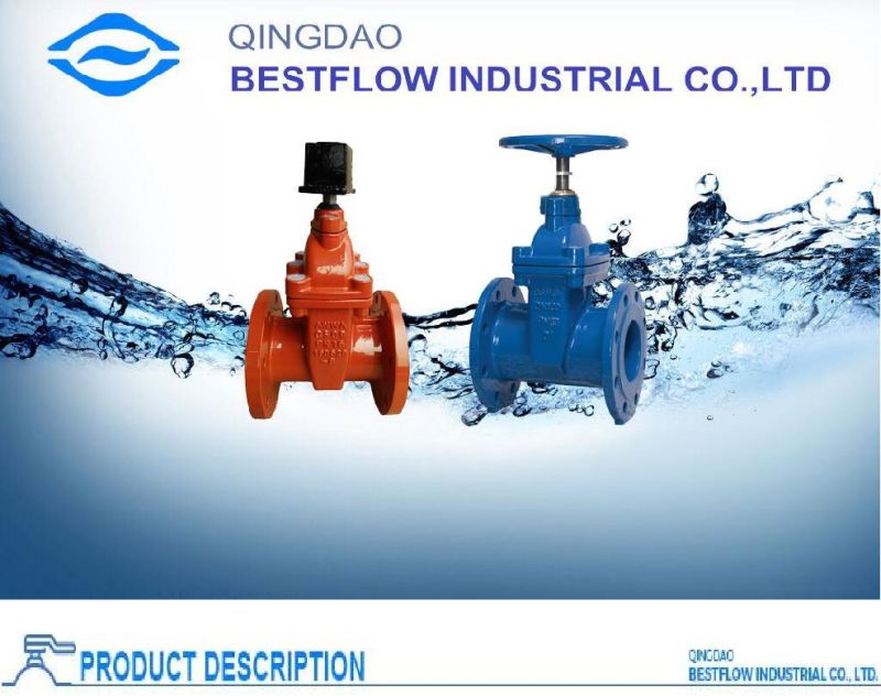 Cast Iron Flanged Gate Valve