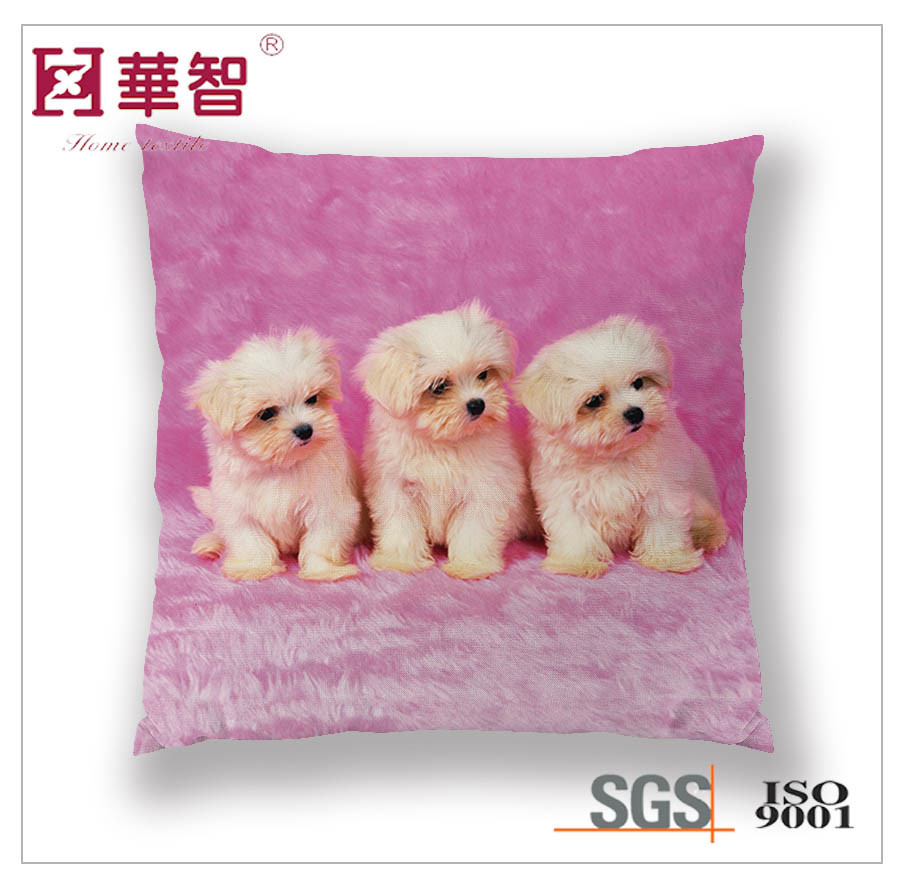 Digital Printed Cushion Cover, Decorative Cushion