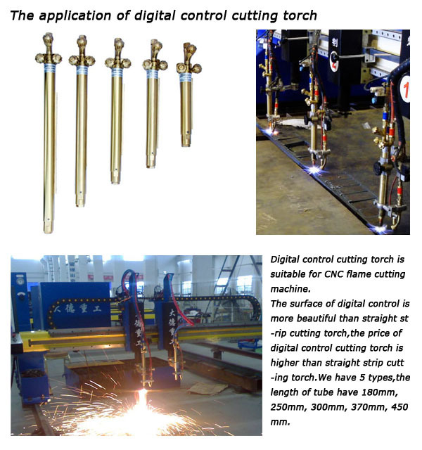 Britain Cutting Torch for CNC Flame/ Plasma Cutting Machine