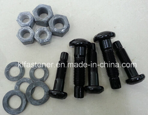 ASTM A325 Tc Bolt (M12-M24)