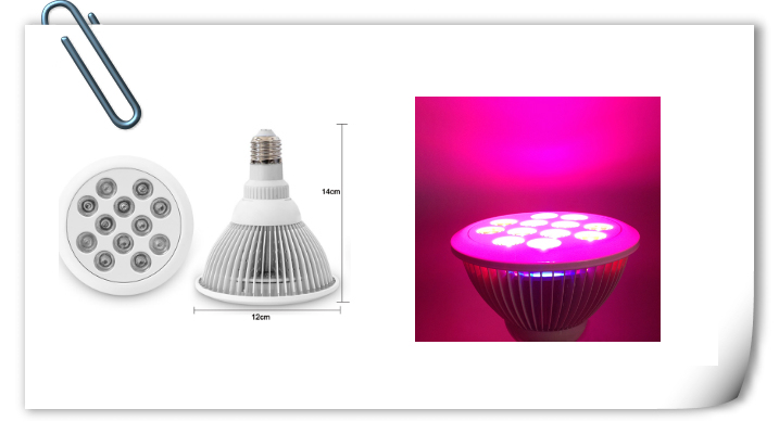 Energy-Saving High Quality LED Grow Light for Hydroponics