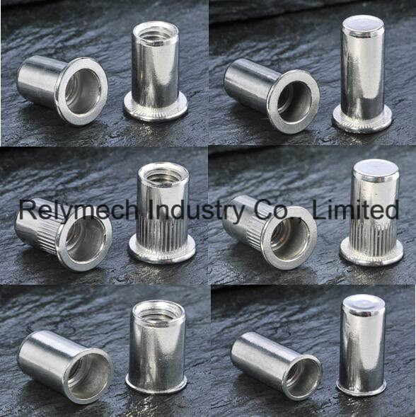 Stainless Steel/Carbon Steel Rivet Nut for Auto/Aviation/Railway