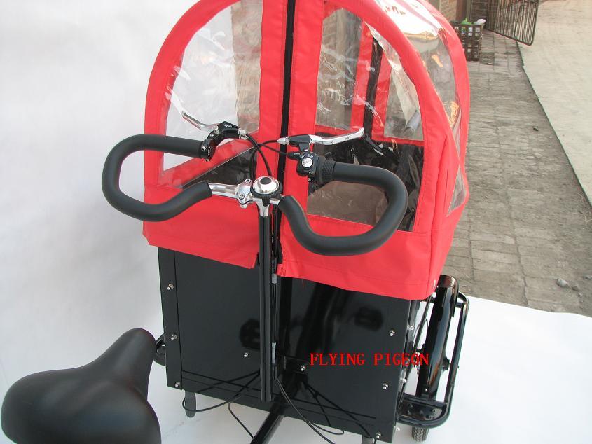 Big Load Capacity Tricycle Electric Rickshaw (FP-ERT003)