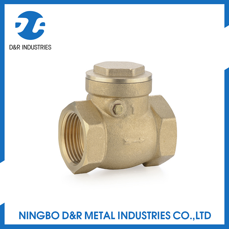 Dr 6001 Brass Check Valve for Water