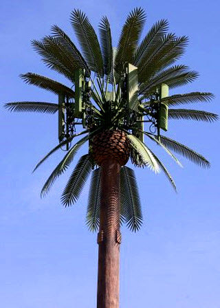 Steel Tube Disguised Palm Tree Communication Tower