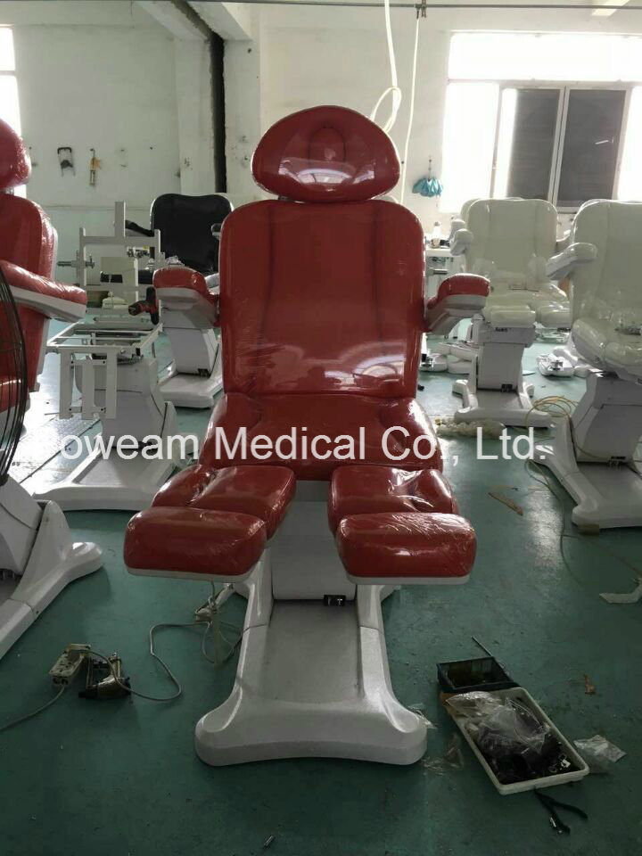 CE Approved PVC Leather Electric Facial Cosmetic Massage Bed (PM8805)