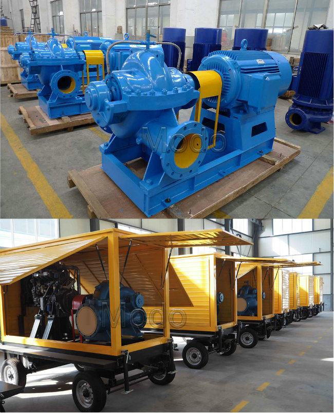 Large Capacity Double Suction Centrifugal Water Pump
