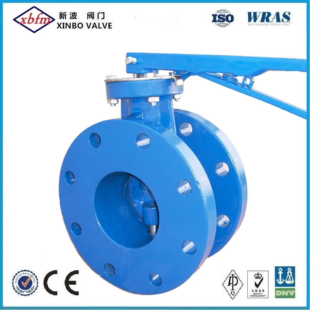 Cast Iron Double Flanged Butterfly Valve