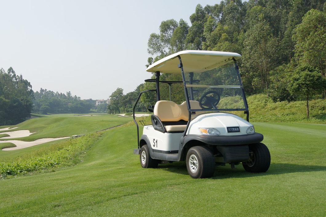Ce Approved Battery Operated 2 Seater Mini Golf Cart