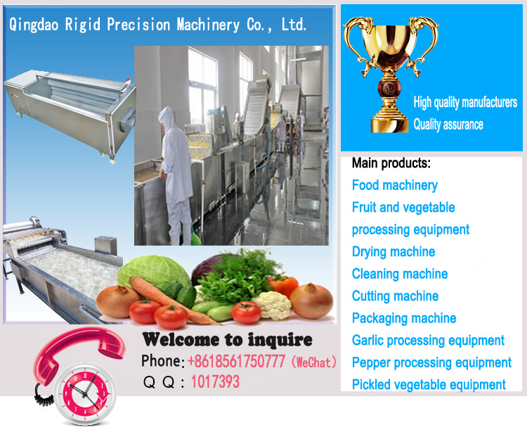 Fruit and Vegetable Slicer Food Processing Machinery