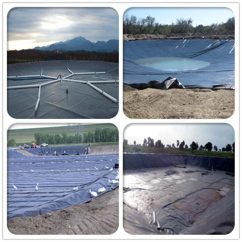 Virgin Material HDPE Polyethylene Geomembrane for Aquaculture, Landfill, Fish Pond Liner