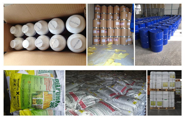 Herbicide Halosulfuron-Methyl 75% WDG for corn rice sugarcane