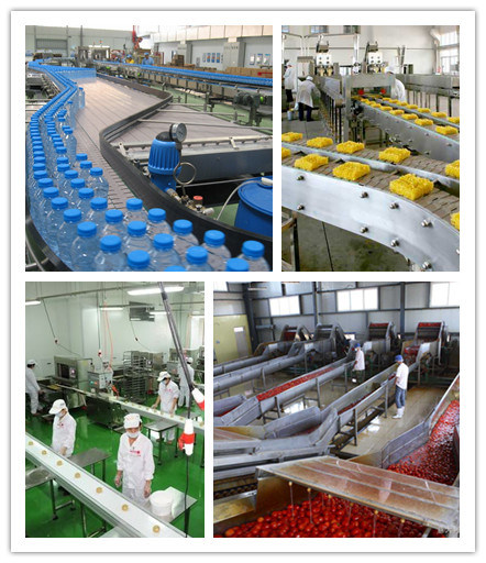 Hairise FDA Power Belt Plastic Conveyor for Bakery Industry