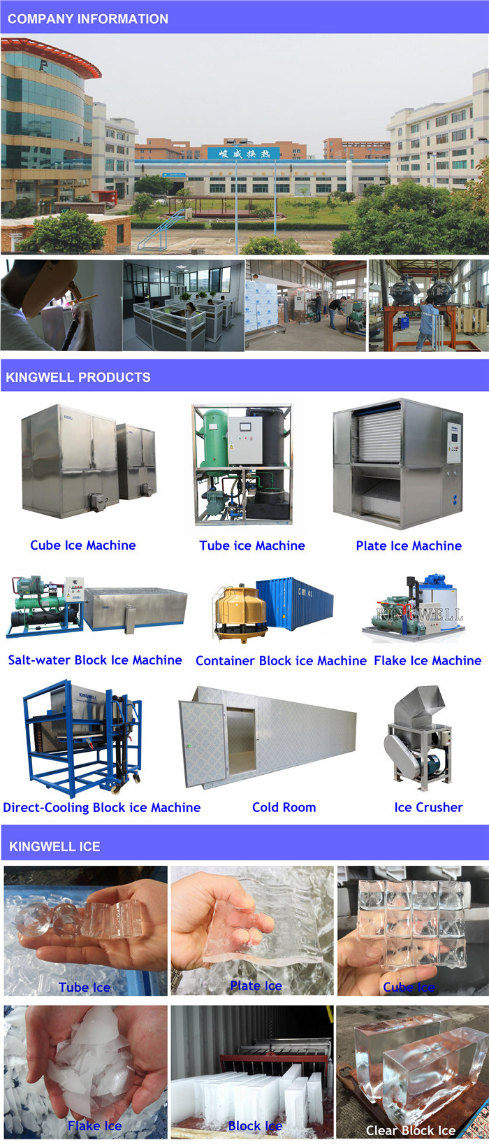 5 Tons Cube Ice Making Machine Ice Maker for Food Service