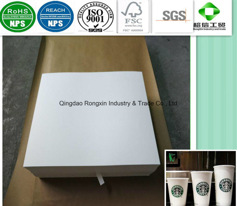 Double Side PE Coated Paper in Roll or in Sheet for Cups