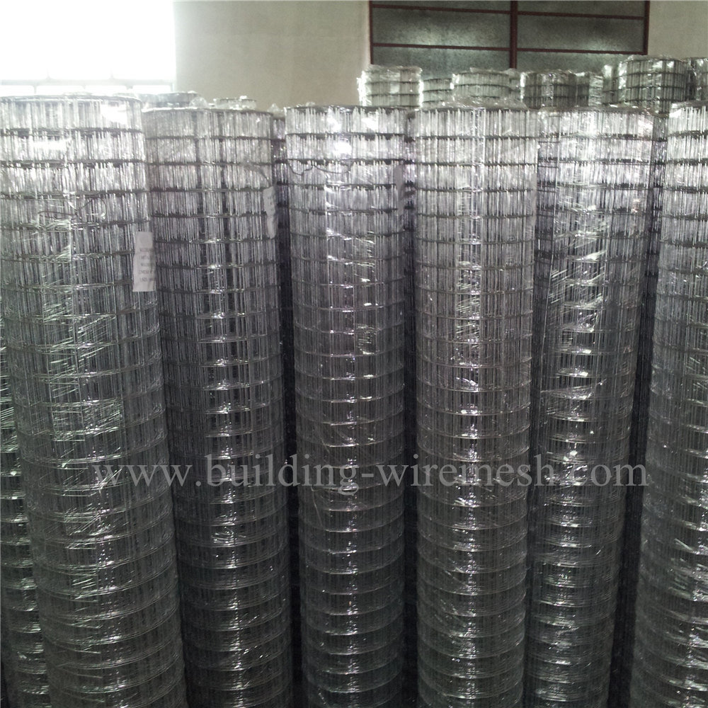 China ISO Factory Low-Carbon Steel Wire Welded Wire Mesh