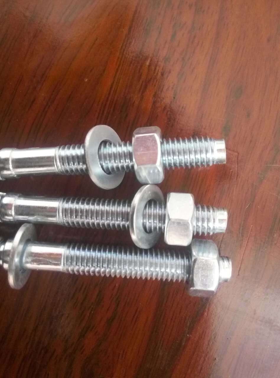 China Stainless Steel Wedge Anchor (sleeve anchor/sleeve bolt/anchor bolt)