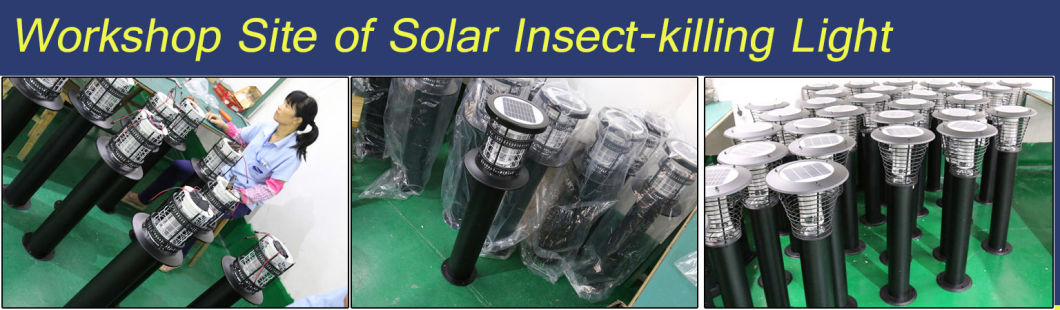 IP65 Factory Price Solar Mosquito Killer Light for Farm