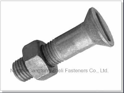 DIN7969-1986 Slotted Countersunk Head Screw with Nuts