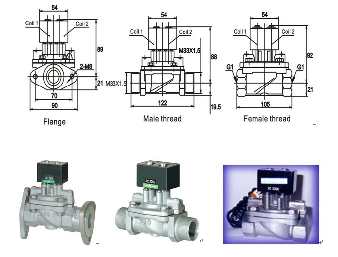 Fuel Dispenser Solenoid Valve (CF8W)