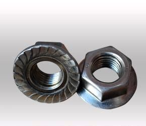 Hexagon Nuts with Flange