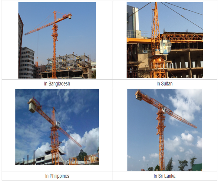 Electric Self Raising Tower Crane Lifting Capacity