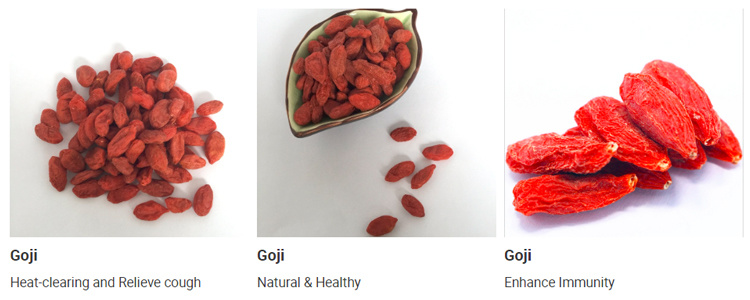 Chinese Supplier Different Types No Addition Organic Dried Goji