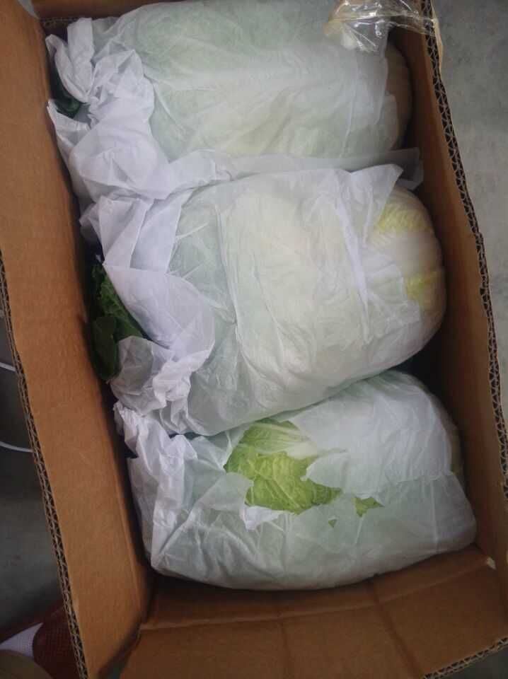 2018 New Crop Fresh Chinese Cabbage