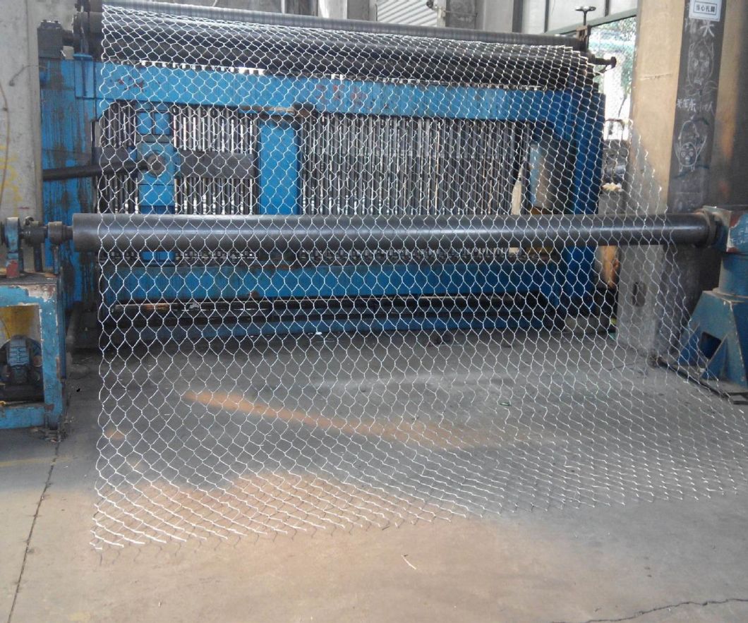 Chicken Wire Mesh/Galvanized & PVC Coated Hexagonal Wire Mesh