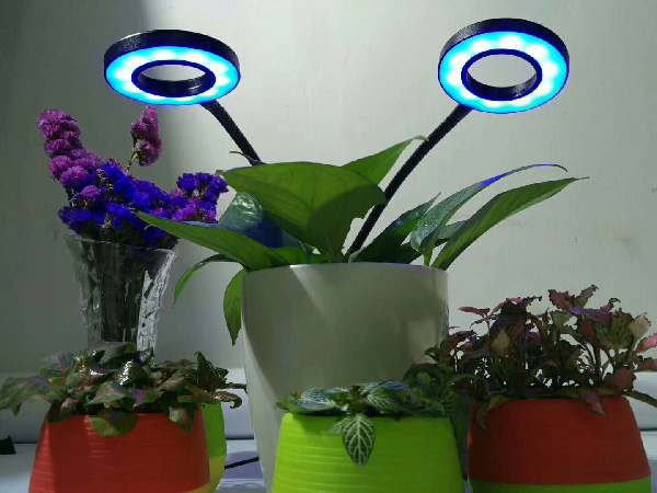 5W Indoor Garden Greenhouse Plants Clip LED Grow Light