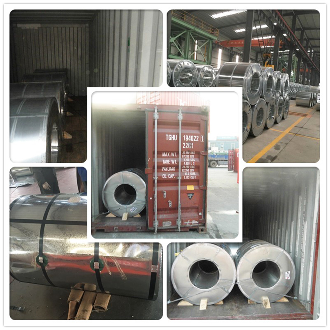 Hot Rolled Galvanized Coil Steel Price