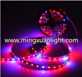 12V 3528 300SMD Waterproof IP65 Decorative Flexible LED Strip Light