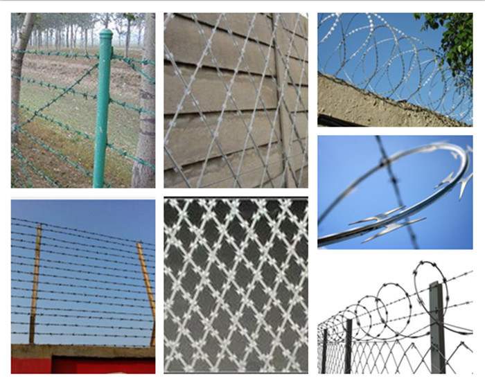 Galvanized PVC Coated Security Concertina Razor Barbed Wire for Fence