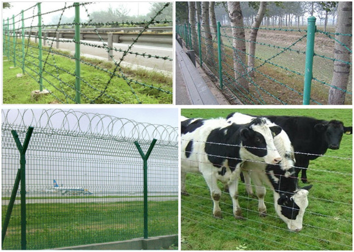 Galvanized or PVC Coated Concertina Razor Barbed Wire for Protecting