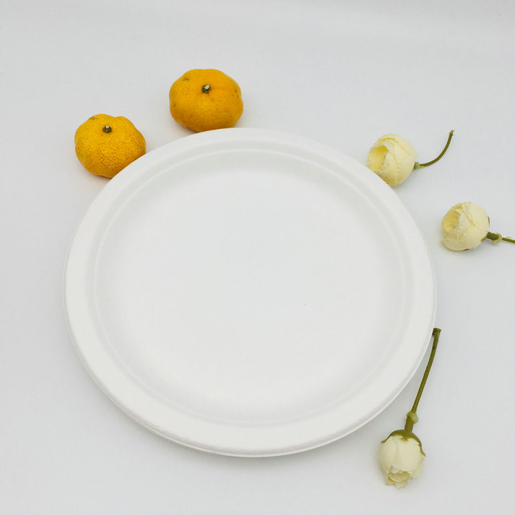 Disposable Tableware Party Paper Pulp Plates