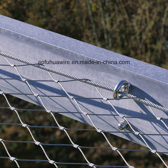 Animal Zoo Wire Mesh Fence