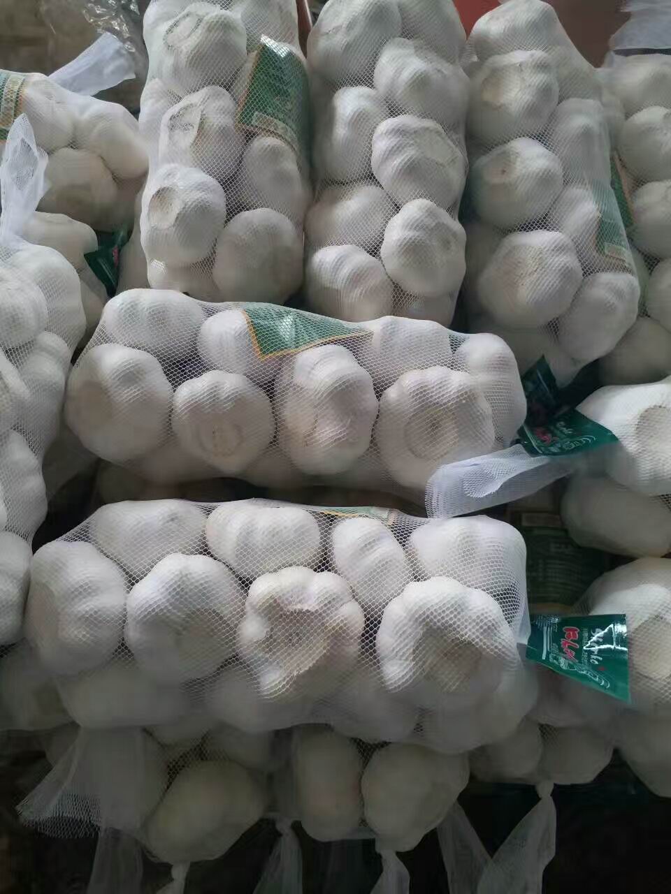 Frischer Knoblauch 1 kg Netzbeutel 10 kg Karton Fresh Garlic 1kg mesh bag 10kg carton