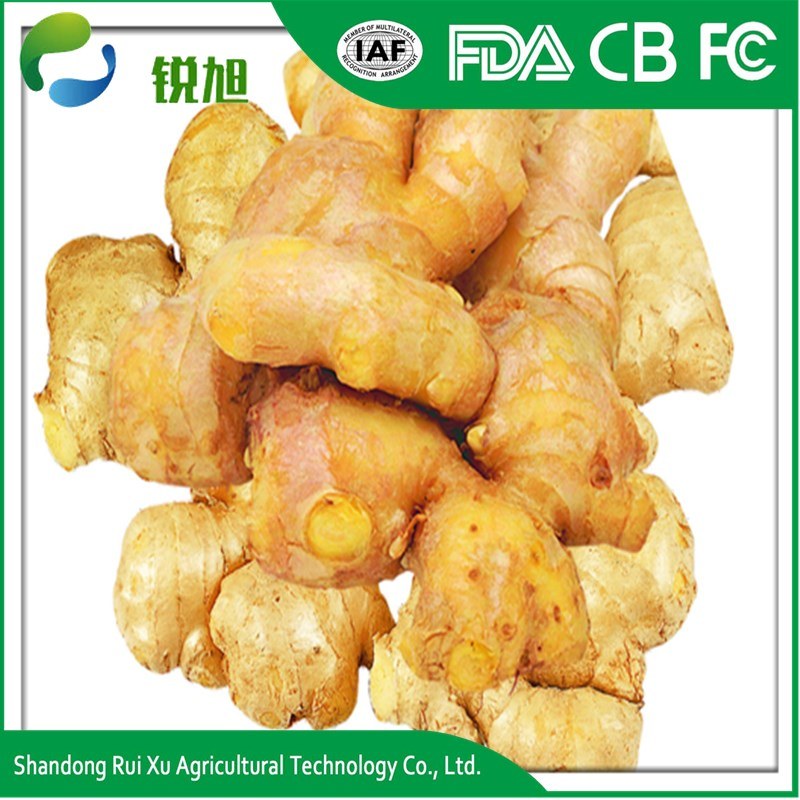 Fresh Ginger Big Size PVC Box for Export