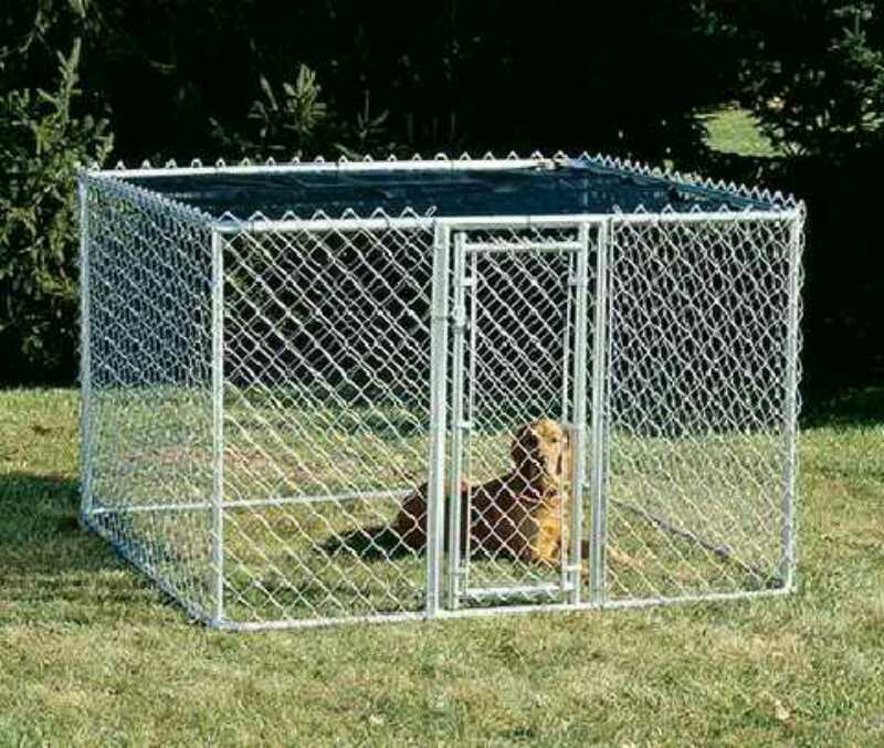 Heavy-Duty Chainlink Dog Kennel 6ftx8ftx4FT