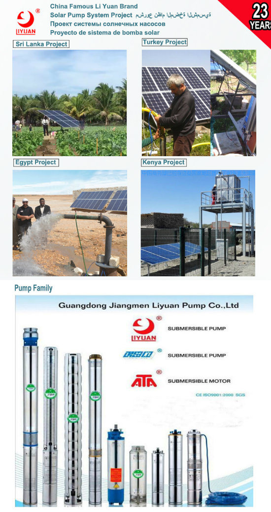 Solar or Electric Water Submersible Pump Price for Agricultural