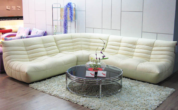 Modern Corner Sofa Living Room Genuine Leather Sofa (B-240B)