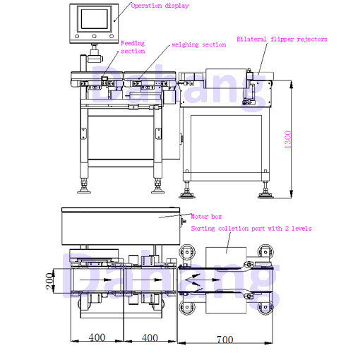 Duck/Chicken/Pigeon Weigher, Labeler and Sorter (grader) Machine Integrated Weighing System