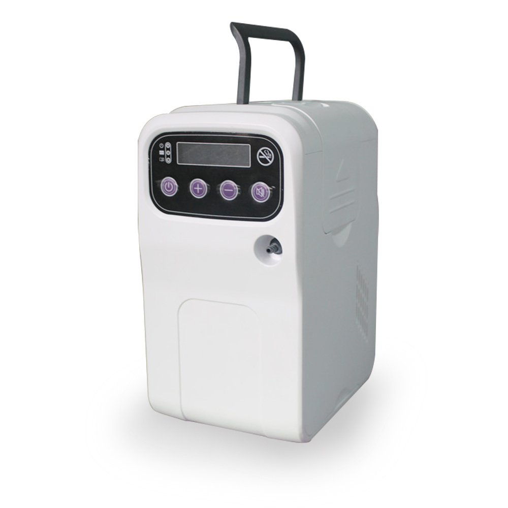 Factory Price 5L Per Min Adjustable Portable Oxygen Concentrator, Mini Oxygen Concentrator for Hospital Mslzy11