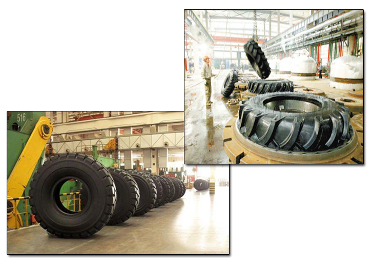 Best OE Supplier for New Holland Pr-1 Agriculture Tyre/Farm Tyre