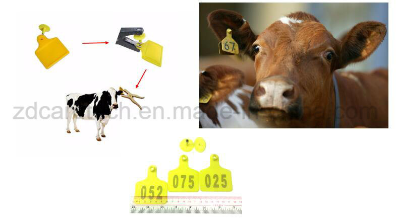 UHF RFID TPU Livestock Cattle ID Ear Tag for Animal