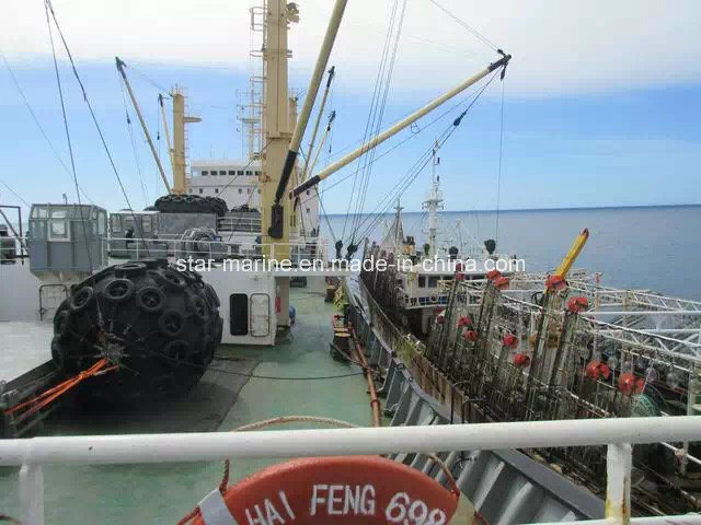 Floating Pneumatic Marine Rubber Fender Supplier