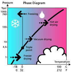 Two Chamber Food Use Vacuum Freeze Dryer