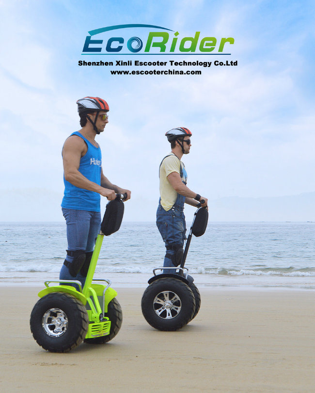 Airport 2 Wheel Self Balance Electric Scooter Golf Cart