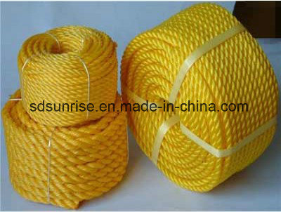 PE Monofilament Twisted Rope Made From New Materials