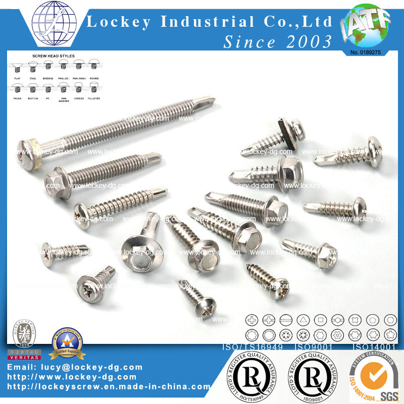 Self Tapping Screw Self Drilling Tapping Screw
